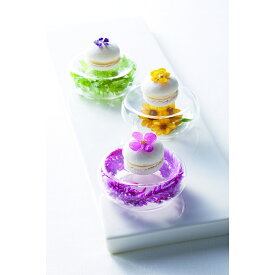 アミューズ(エアー)TS44041　138-10581(Z817)小皿 お皿 皿 ガラス皿 カフェ レストラン 飲食店 洋風 洋食器 おうちカフェ インスタ映え おしゃれ かわいい デザート オードブル ギフト プレゼント パーティー