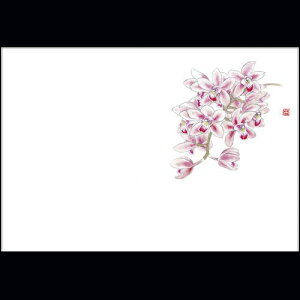 5_a}bg m(VrWE)(I[V[Y)y192-30044(Z124)ze[u}bg `}bg }bg  y[p[}bg _ 45×31cm { 100 ĝă}bg a 