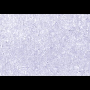 38cm㎿}bg@_@201-10311(Z108)e[u}bg `}bg }bg  y[p[ y[p[}bg { 38×26cm 100 ĝ ĝă}bg a  aH  