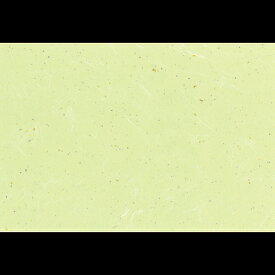 38cm上質紙マット　雲竜金銀風　草色　201-10062(Z102-180)テーブルマット ランチョンマット 紙 紙製 ペーパー 業務用 和食 オールシーズン