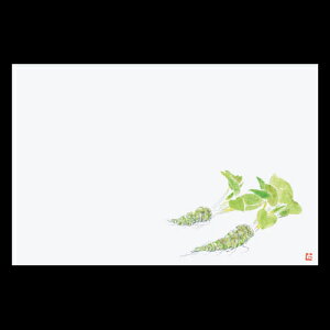 38cm㎿}bg@킳с@201-10089(Z102-163)e[u}bg `}bg }bg  y[p[ y[p[}bg { 38×26cm 100 ĝ ĝă}bg a  aH  