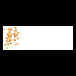 ㎿13cmp}bg@c^@201-20044(Z109-376)e[u}bg `}bg }bg  y[p[ y[p[}bg { 13cm ĝ ĝă}bg a  aH   