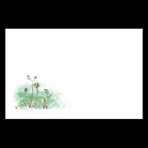 38cm㎿}bg@r@201-10126(Z103-175)e[u}bg `}bg }bg  y[p[ y[p[}bg { 38×26cm 100 ĝ ĝă}bg a  aH  