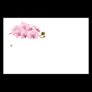 38cm㎿}bg@@201-10101(Z103-167)e[u}bg `}bg }bg  y[p[ y[p[}bg { 38×26cm 100 ĝ ĝă}bg a  aH  