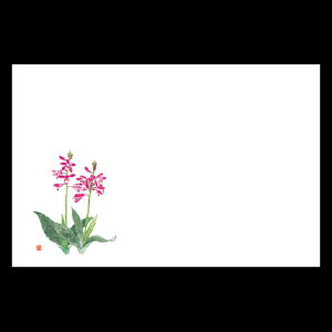 38cm㎿}bg@V@201-10157(Z104-174)e[u}bg `}bg }bg  y[p[ y[p[}bg { 38×26cm 100 ĝ ĝă}bg a  aH  