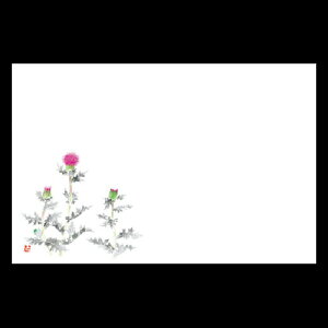 38cm㎿}bg@݁@201-10151(Z104-166)e[u}bg `}bg }bg  y[p[ y[p[}bg { 38×26cm 100 ĝ ĝă}bg a  aH  