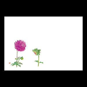 38cm㎿}bg@_A@201-10184(Z105-256)e[u}bg `}bg }bg  y[p[ y[p[}bg { 38×26cm 100 ĝ ĝă}bg a  aH  