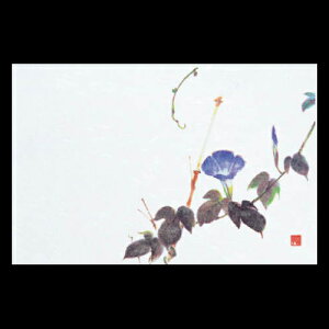 38cm㎿}bg@V@201-10195(Z105-241)e[u}bg `}bg }bg  y[p[ y[p[}bg { 38×26cm 100 ĝ ĝă}bg a  aH  