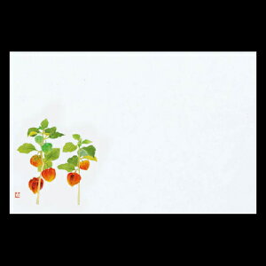 38cm㎿}bg@ق@201-10193(Z105-239)e[u}bg `}bg }bg  y[p[ y[p[}bg { 38×26cm 100 ĝ ĝă}bg a  aH 