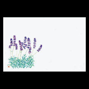 38cm㎿}bg@x_[@201-10181(Z105-228)e[u}bg `}bg }bg  y[p[ y[p[}bg { 38×26cm 100 ĝ ĝă}bg a  aH 