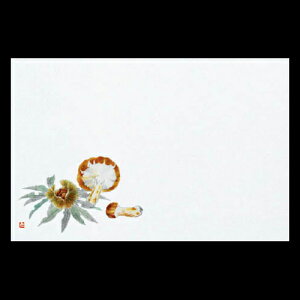 38cm㎿}bg@IA}c^P@201-10225(Z106-297)e[u}bg `}bg }bg  y[p[ y[p[}bg { 38×26cm 100 ĝ ĝă}bg a  a