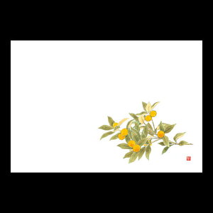 38cm㎿}bg@LJ@201-10240(Z107-401)e[u}bg `}bg }bg  y[p[ y[p[}bg { 38×26cm 100 ĝ ĝă}bg a  aH 