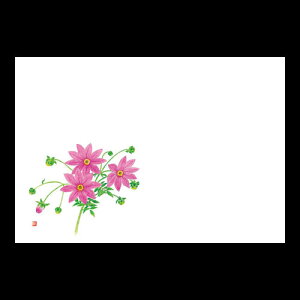 38cm㎿}bg@c_A@201-10241(Z107-402)e[u}bg `}bg }bg  y[p[ y[p[}bg { 38×26cm 100 ĝ ĝă}bg a  aH 