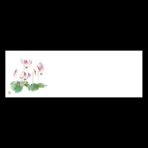 ㎿13cmp}bg@J^N@201-20072(Z110-385)e[u}bg `}bg }bg  y[p[ y[p[}bg { 13cm ĝ ĝă}bg a  aH  