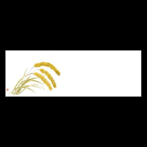 ㎿13cmp}bg@V@201-20157(Z112-459)e[u}bg `}bg }bg  y[p[ y[p[}bg { 13cm ĝ ĝă}bg a  aH   