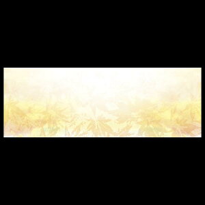 ㎿13cmp}bg@Rgt@201-20213(Z113-414)e[u}bg `}bg }bg  y[p[ y[p[}bg { 13cm ĝ ĝă}bg a  aH  