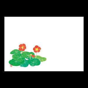 3_a}bg@@ԁ@192-10058(Z117-424)e[u}bg `}bg }bg  y[p[}bg _ 38×26cm { 100 ĝ ĝă}bg a  aH  