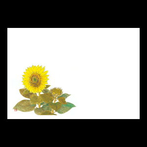 3_a}bg@Ђ܂@192-10065(Z117-433)e[u}bg `}bg }bg  y[p[}bg _ 38×26cm { 100 ĝ ĝă}bg a  aH 