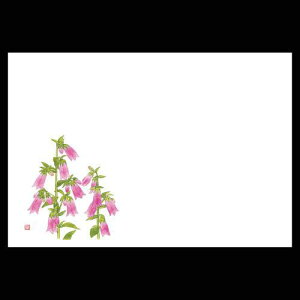 3_a}bg@z^uN@192-10055(Z117-420)e[u}bg `}bg }bg  y[p[}bg _ 38×26cm { 100 ĝ ĝă}bg a  a