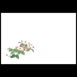 3_a}bg@Ԑ؁@192-10048(Z117-412)e[u}bg `}bg }bg  y[p[}bg _ 38×26cm { 100 ĝ ĝă}bg a  aH  