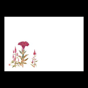 尺3雲竜和紙マット ケイトウ 192-10134(Z118-353)テーブルマット ランチョンマット 紙マット 紙製 ペーパーマット 雲竜紙 38×26cm 日本製 100枚入 使い捨て 使い捨てマット 和風 おしゃれ 和食 料