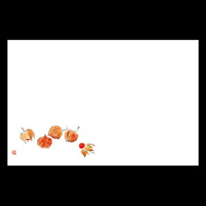 3_a}bg@ق@192-10075(Z118-343)e[u}bg `}bg }bg  y[p[}bg _ 38×26cm { 100 ĝ ĝă}bg a  aH 