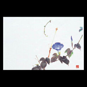 3_a}bg@@192-10069(Z118-337)e[u}bg `}bg }bg  y[p[}bg _ 38×26cm { 100 ĝ ĝă}bg a  aH  