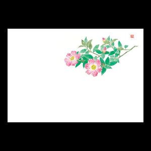 3_a}bg@VTUJ@192-10102(Z119-348)e[u}bg `}bg }bg  y[p[}bg _ 38×26cm { 100 ĝ ĝă}bg a  aH 