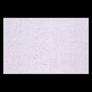 3_a}bg@tUF@192-10119(Z119-391)e[u}bg `}bg }bg  y[p[}bg _ 38×26cm { 100 ĝ ĝă}bg a  aH 