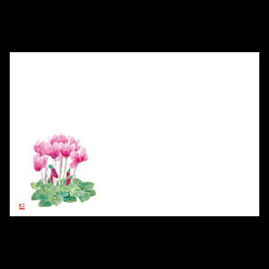 3_a}bg@VN@192-10109(Z119-355)e[u}bg `}bg }bg  y[p[}bg _ 38×26cm { 100 ĝ ĝă}bg a  aH 