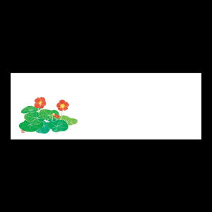 u_a}bg@@ԁ@192-20050(Z121-263)e[u}bg `}bg }bg  y[p[ y[p[}bg { 100 ĝ ĝă}bg a  aH  