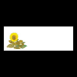 u_a}bg@Ђ܂@192-20056(Z121-274)e[u}bg `}bg }bg  y[p[ y[p[}bg { 100 ĝ ĝă}bg a  aH  
