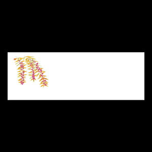 u_a}bg@@192-20082(Z122-204)e[u}bg `}bg }bg  y[p[ y[p[}bg { 100 ĝ ĝă}bg a  aH  
