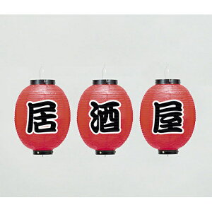 24cmی^傤 @670-25001(Z170-77) 񓔂  ʈ ی^  X IX X HX  Xܔi Ɩp