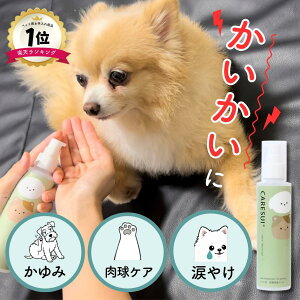�y�����a�@ �戵���i�z�� �L �y�b�g ����� CARESUI�W�F��150g 1�{ �W�F�� �P�A�X�C �t�P ���� �畆�� �X�v���[ ���� ���� �匴���� �Z�k���� ������ �y�� �ێ� ���� �畆 ��� �уc�� �畆�a 