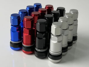 HOT GEAR zbgMA European Air Valve [sAGA[ou Vo[ y 4(1Zbg)