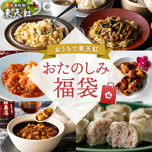 【送料込】おたのしみ福袋|高級中華 東天紅 簡単 調理 ミールキット 冷凍 冷凍食品 湯せん 湯煎 本格中華 豪華 贅沢 食卓 おかず パーティー 手土産 おもたせ 贈り物 ギフト プレゼント メ