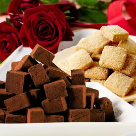 送料無料★濃厚生チョコレート＆ほろさくクッキーセット