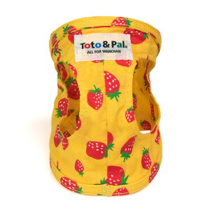 Xgx[ {fB[n[lX 3@y܂F29`32cmz