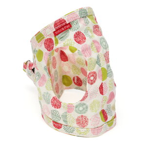 o[hbg {fB[n[lX 1 i܂F25`28cmj