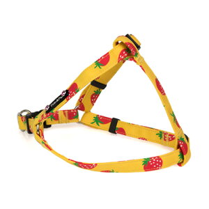 Xgx[ n[lX 25mm@y܂F50`75cm@܂F54`84cmz