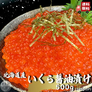 Z kCY  ݖЂ 500g 250g 2pbN ŏ㋉ O[h CN CN 芪i i