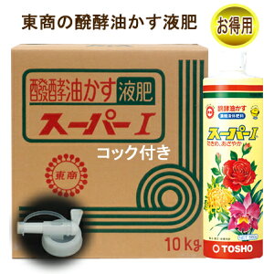 엿 t t̔엿 wyL@tuX[p[IRbNtv10kgx L@@엿@L@엿 L@t@L@t̔엿 _ _Ɓ@؁@@Â@