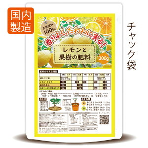 VR100@L@ŔIƉʎ̔엿300gyz