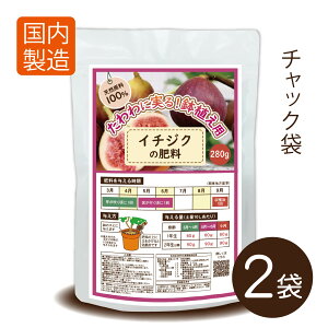 C`WN̔엿560gi280g×2܁jyz