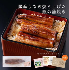 【SS期間限定！50％ポイントバック】ギフト レンジ調理対応　国産うなぎ蒲焼長焼き |鰻 蒲焼 長焼き 綱正 海鮮 国産 特製たれ お取り寄せ グルメ 内祝い 出産内祝い お返し 新築内祝 祝い 高級 結婚 出産 快気 お礼 長寿祝い 七五三 初節句 土用の丑の日