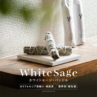 【 個包装 お試し 】 ホワイトセージ バンドル スリムタイプ 3本 浄化用 カリフォルニア産 送料無料 お香…