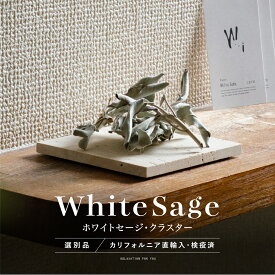 \ 7/18 10:00~ 10%offクーポンSALE / 選別品 ホワイトセージ 枝付き クラスター 浄化 香木 セージ カリフォルニア産 直輸入 お香 WhiteSage 原産国認定 高品質 ホワイトセージクラスター 無農薬 浄化用 リフレッシュ ハーブ ヨガ 瞑想 スマッジング LETO レト