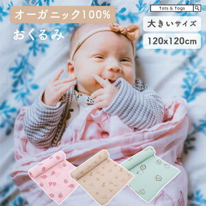 ySi60%OFFN[|z Xh V xr[ Ԃ ~ މ@ t  I[KjbN Rbg ou[ oYj Mtg tots & togs tots and togs gbcAhgOX 