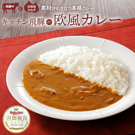素材が引き立つキッチン飛騨の欧風カレー 2袋 8袋 16袋 具無し 飛騨牛ブイヨンカレー カレーのルー 欧風カレー レンチン レトルトカレー 欧風 カレー ルー カレールウ カレールー レンジ対応 電子レンジ レトルトビーフカレー レトルト食品